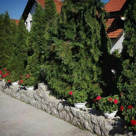 Bozovic Mv Apartments Zlatibor Kültér fotó