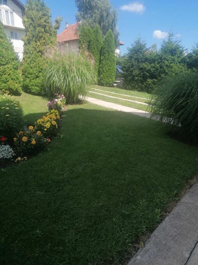 Bozovic Mv Apartments Zlatibor Kültér fotó