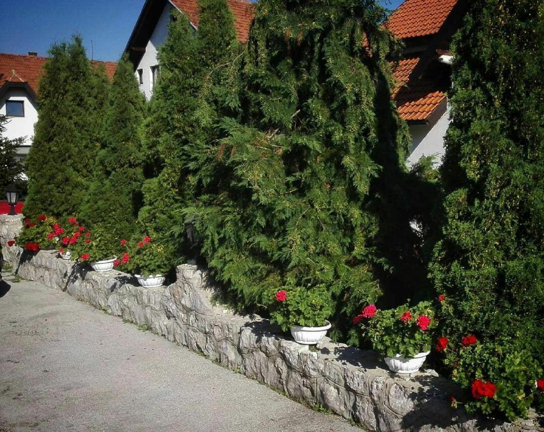 Bozovic Mv Apartments Zlatibor Kültér fotó